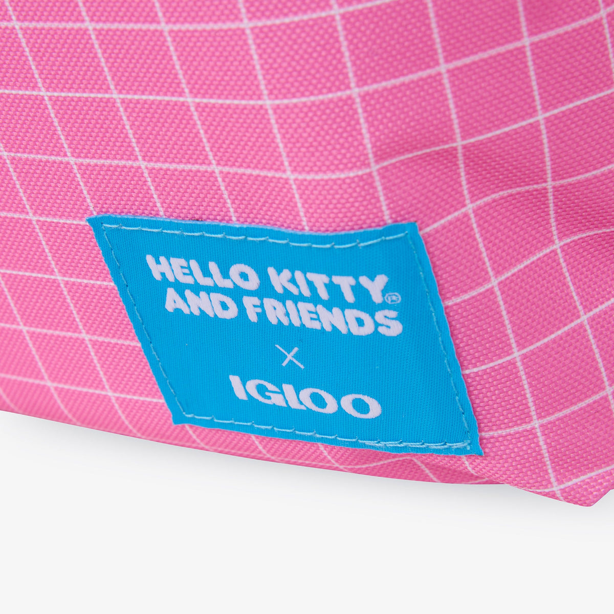 hello-kitty-and-friends-bff-mini-convertible-backpack-cooler-x9 00027591-L.jpg