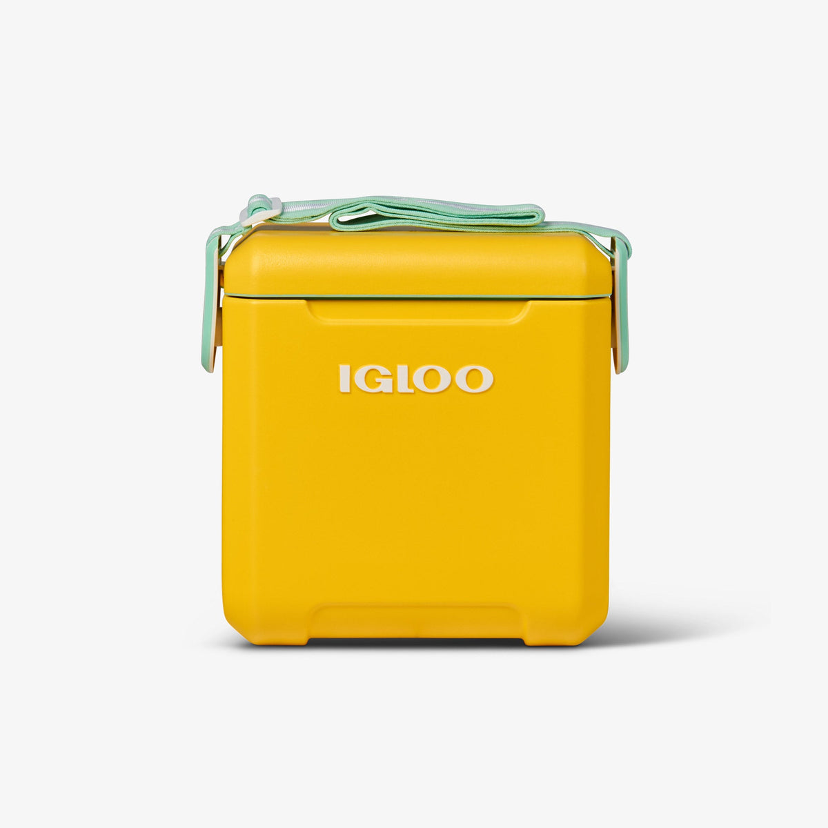 tag-along-too-cooler-r5 00032819_1.jpg