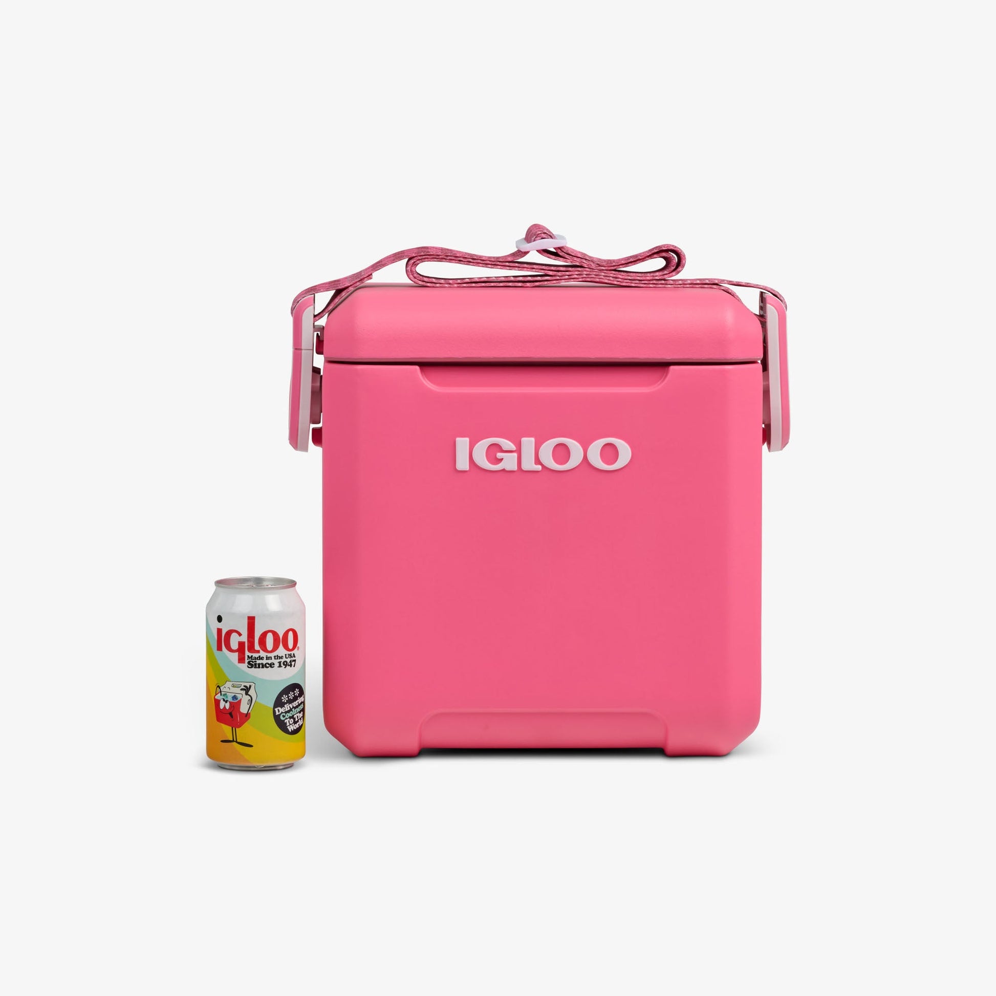 tag-along-too-remix-cooler-y1 00033199-P_861a5cd2-f15c-4217-a471-e33cc3890d9e.jpg