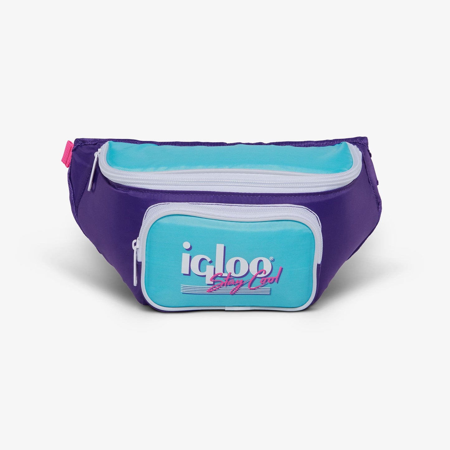 retro-fanny-pack-r6 00066056-F.jpg