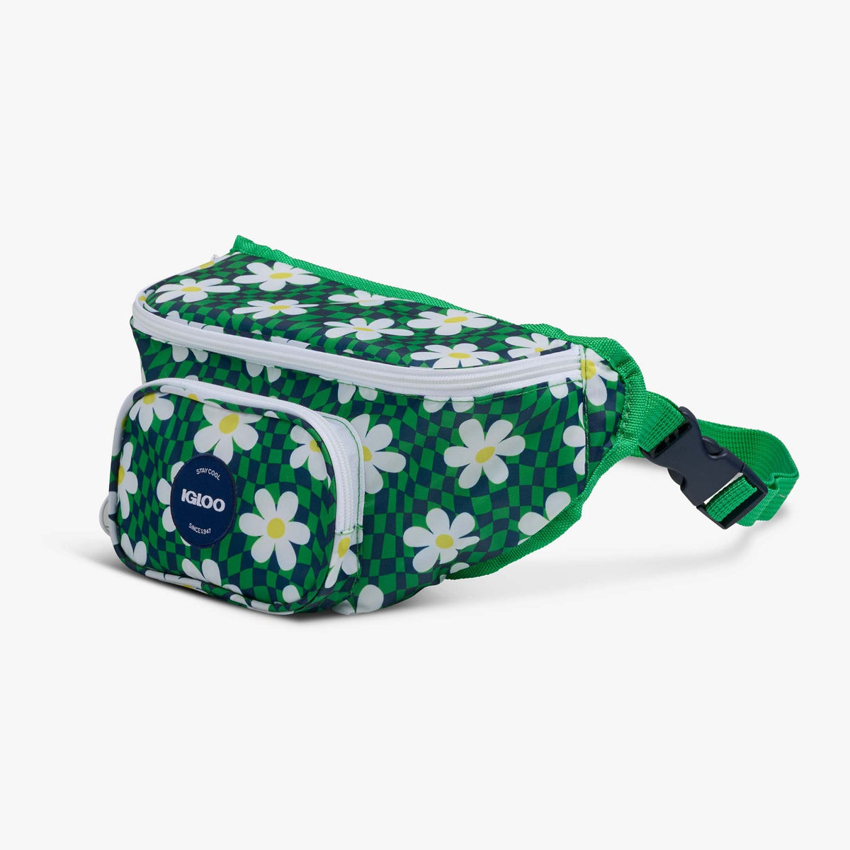 retro-fanny-pack-r6 00067206-H1.jpg