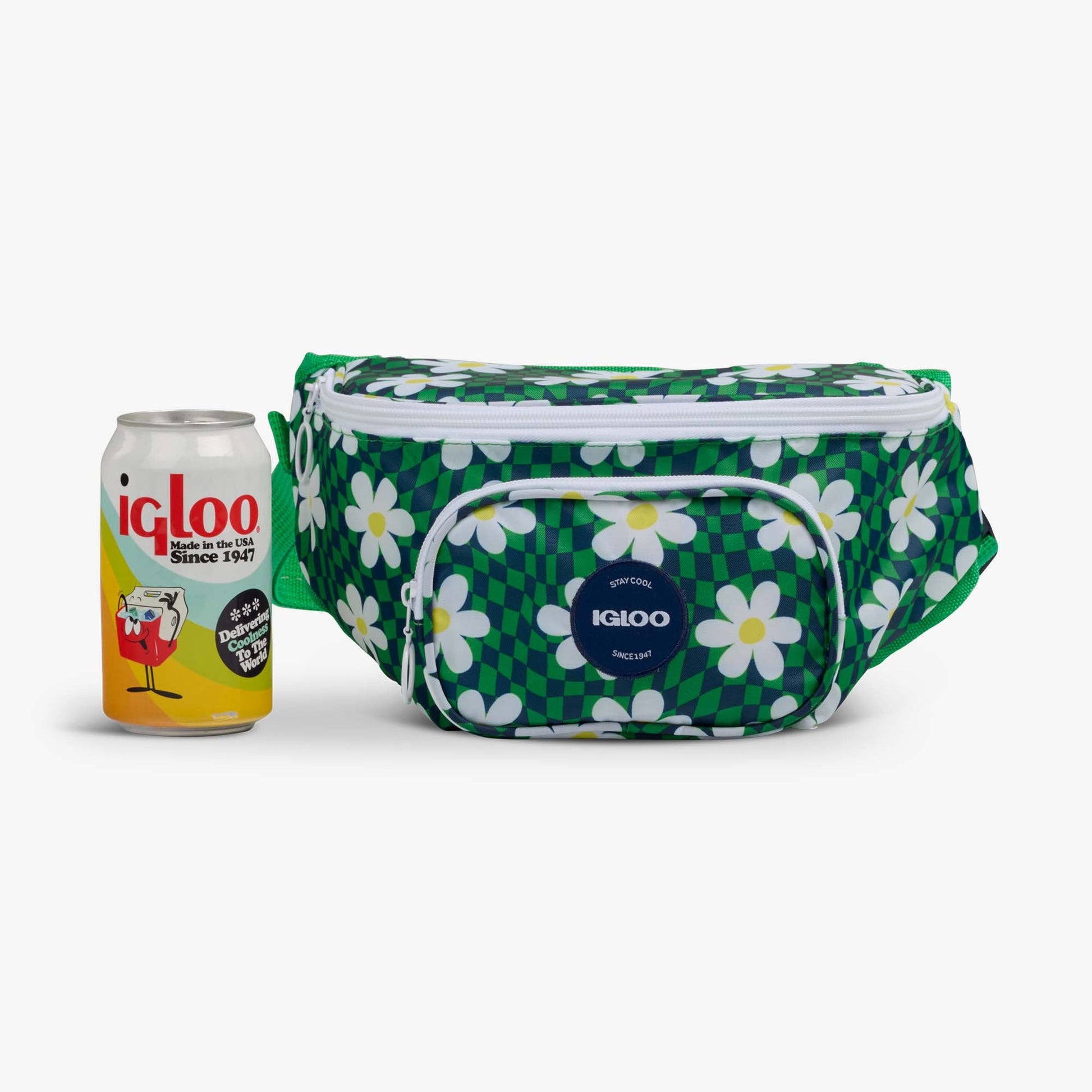 retro-fanny-pack-r6 00067206-P.jpg