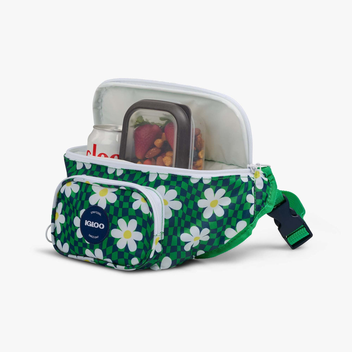 retro-fanny-pack-r6 00067206-P1.jpg