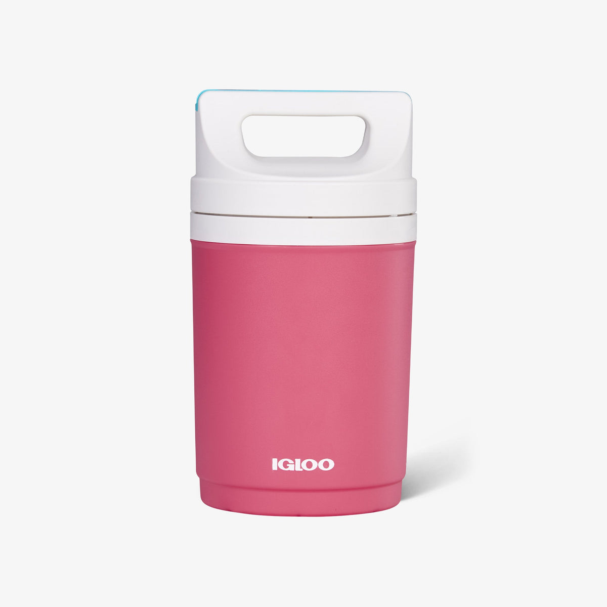 retro-playmate-half-gallon-jug-e1 00070862-F.jpg